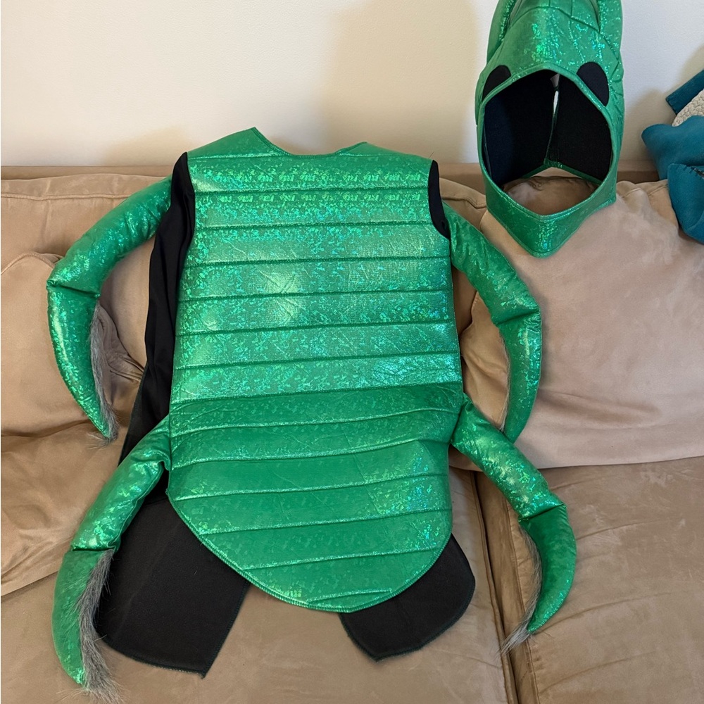 Shiny Green Beetle Kid’s Costume